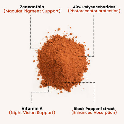 Organic Dried Goji Berry Extract 10:1