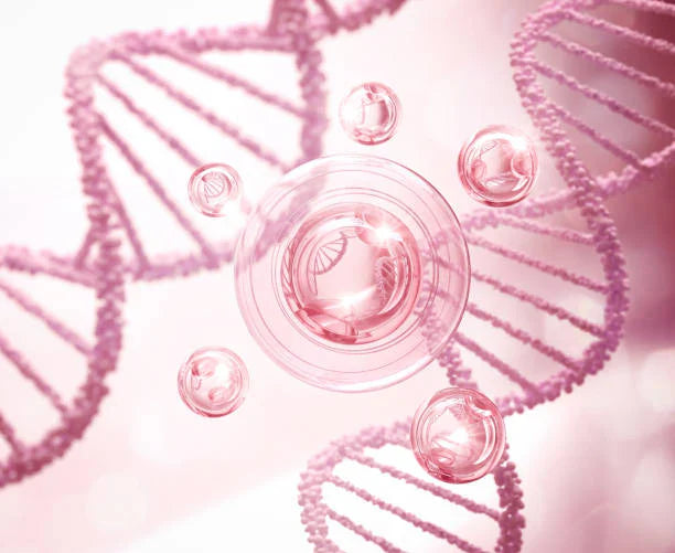 La molécule PDRN — extraite de l'ADN de saumon, utilisée en médecine depuis plus de 40 ans.